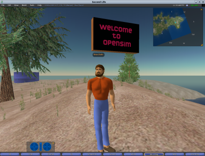 Opensim avatar small.png